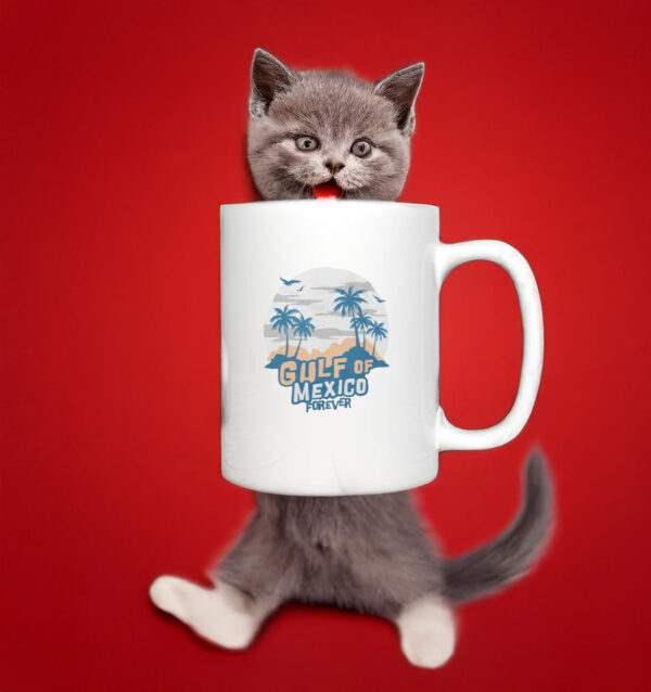 2025 Gulf of Mexico Forever - Anti Trump Mug