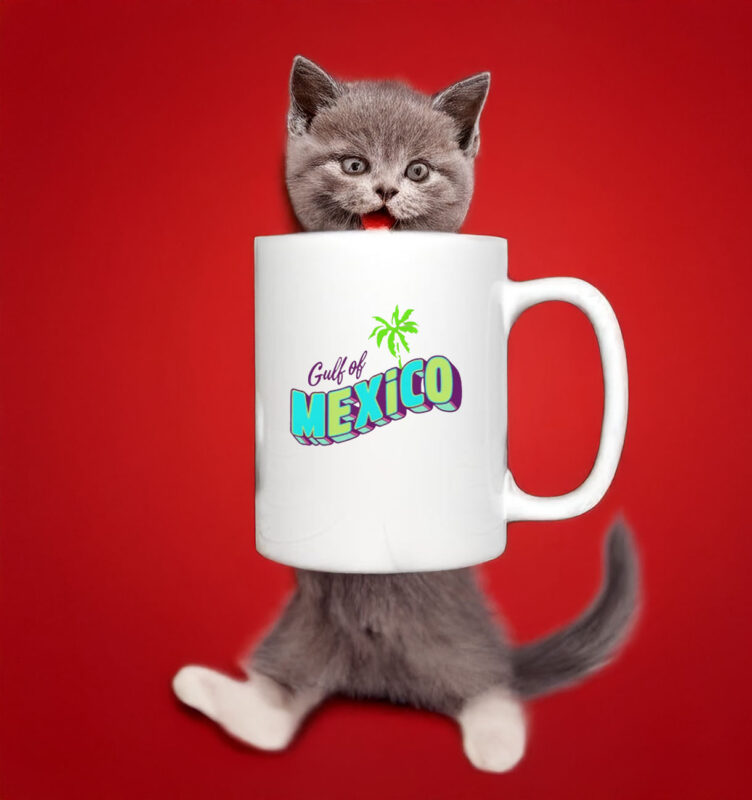 2025 The Gulf of Mexico Classic Mug