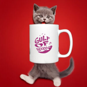 Anti-Fascist Gulf of Mexico - Liberal Mug