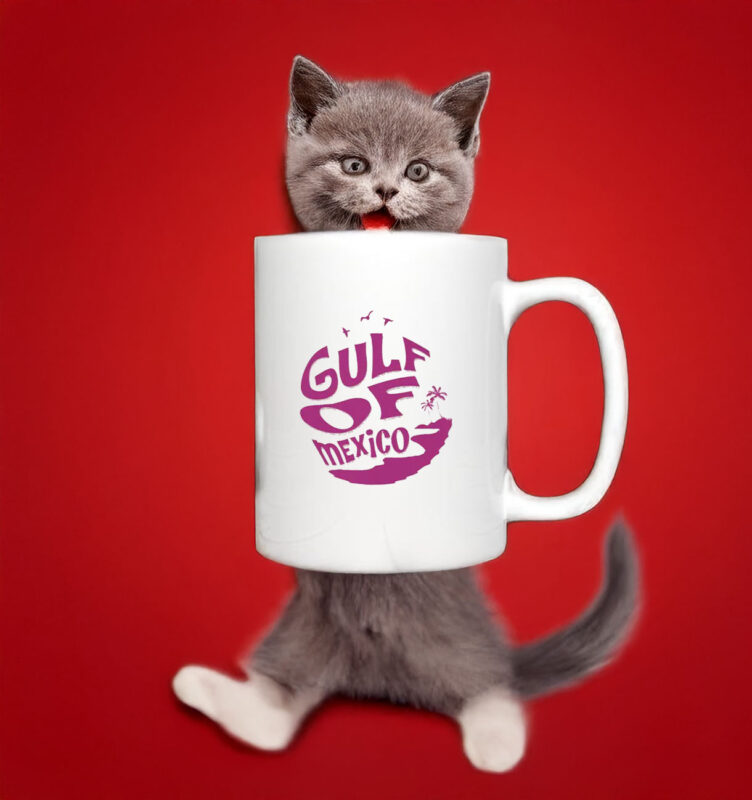 Anti-Fascist Gulf of Mexico - Liberal Mug