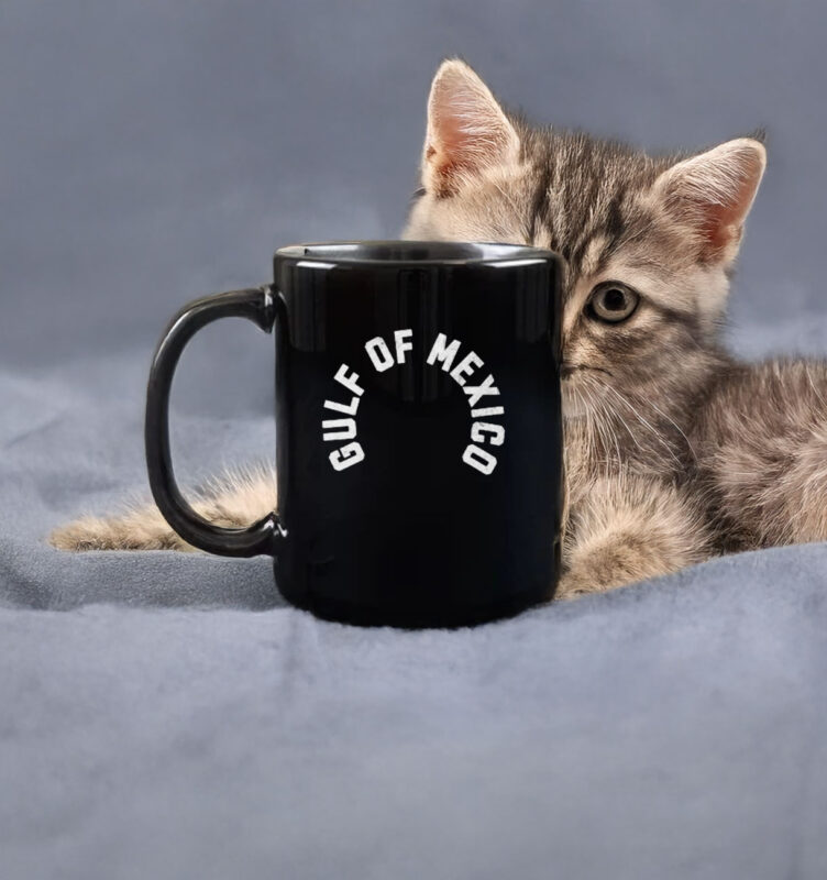 Anti Trump - Gulf of Mexico Funny Holiday Mug