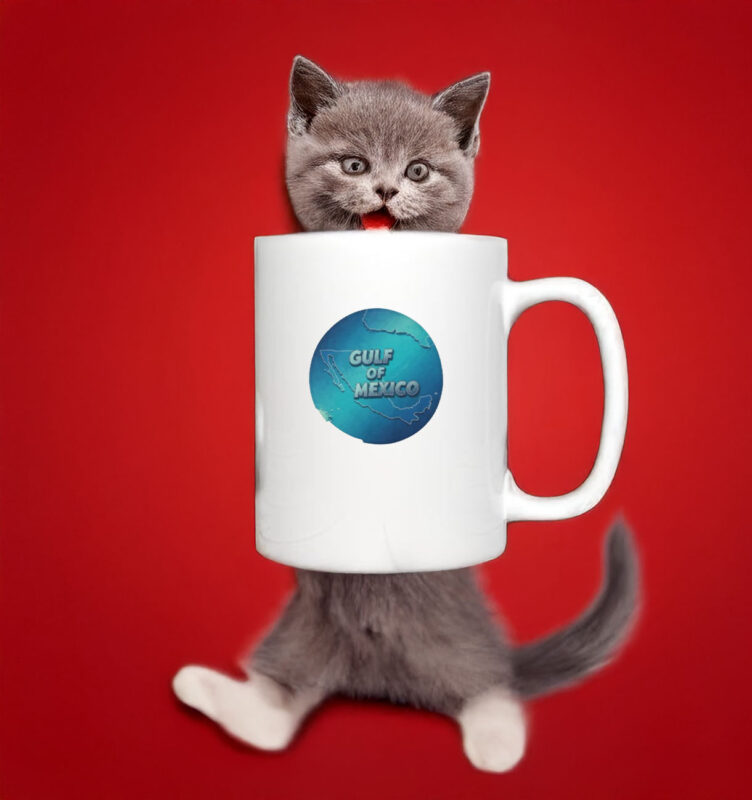 Anti Trump - Gulf of Mexico New Mug