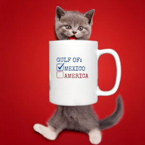 Checklist gulf of Mexico not America Mug