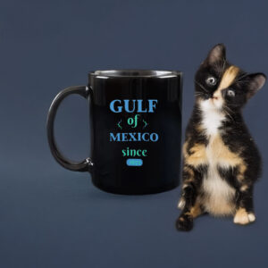 GULF OF MEXICO Classic Since 1672 Mug