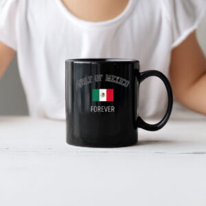 Gulf Of Mexico Forever Mexican Flag Mugs