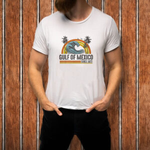 Gulf Of Mexico Since 1672 Vintage Beach Summer Vacation Men T-shirt
