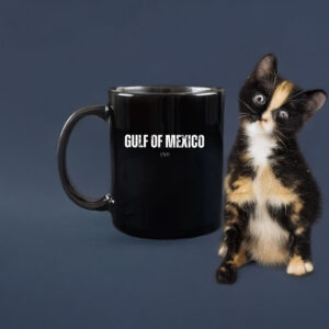 Gulf of Mexico 1569 - Anti Gulf of america Mug