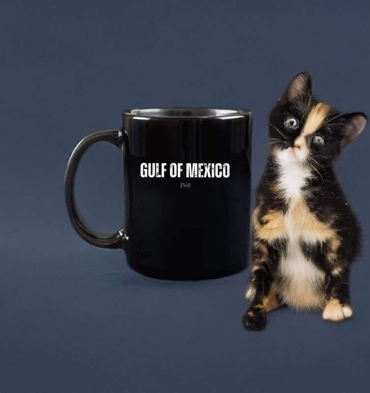 Gulf of Mexico 1569 - Anti Gulf of america Mug
