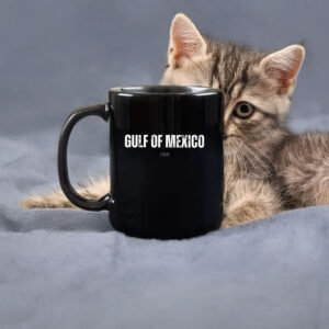Gulf of Mexico 1569 - Anti Gulf of america Mug