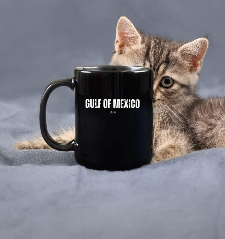 Gulf of Mexico 1569 - Anti Gulf of america Mug