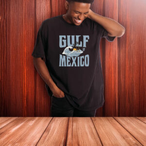Gulf of Mexico - Anti Gulf of America Democrat - Anti-Fascist T-shirt