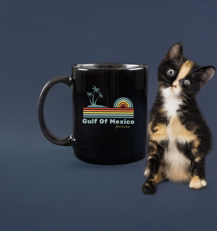 Gulf of Mexico Gulf Coast Mug