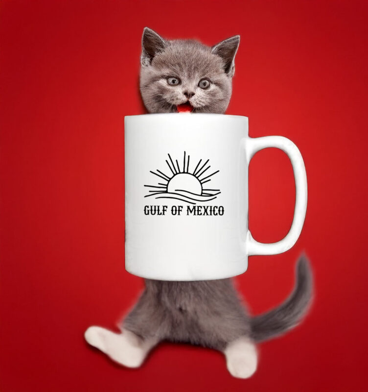 Gulf of Mexico - Gulf Coast for Mexico Lovers Mug