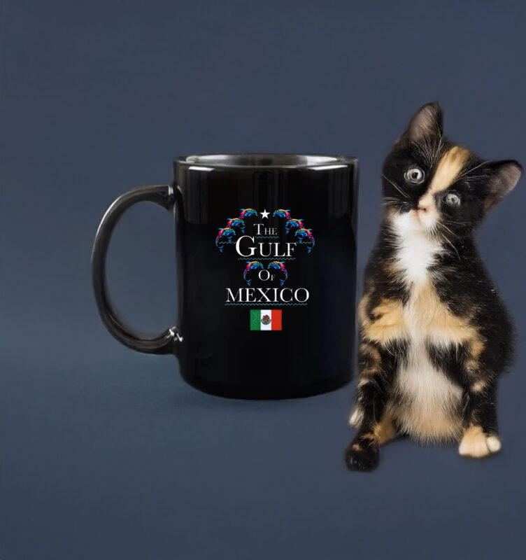 THE GULF OF MEXICO 2 Classic Mug
