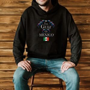 THE GULF OF MEXICO 2 Classic T-Shirt
