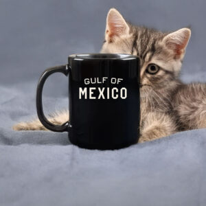 That body of water will always be called the Gulf of Mexico Mug
