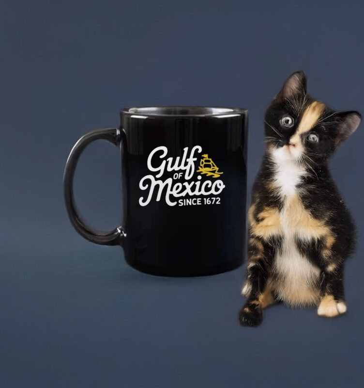 The Gulf-of-Mexico Since 1672 Classic Mug