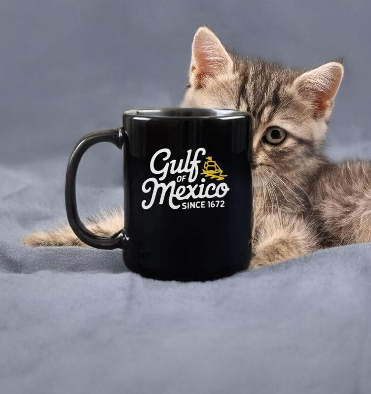 The Gulf-of-Mexico Since 1672 Classic Mug