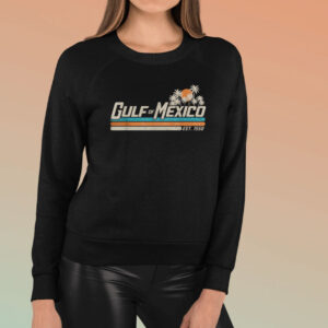 Vintage Gulf of Mexico Since 1550 Retro Vintage Beach T-Shirt
