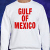Gulf Of Mexico New T-Shirt